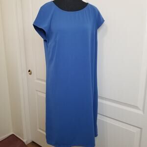 Merona-Women's Career Casual Blue A-Line Sheath Cap Sleeves Knee Length Size M